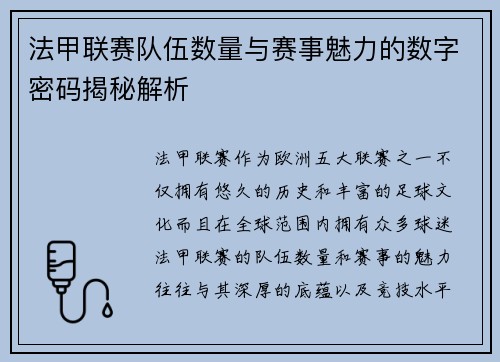 法甲联赛队伍数量与赛事魅力的数字密码揭秘解析